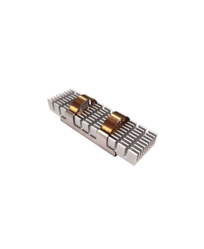 Buy QNAP Heatsink HS-M2SSD-02 for M.2 SSD Module