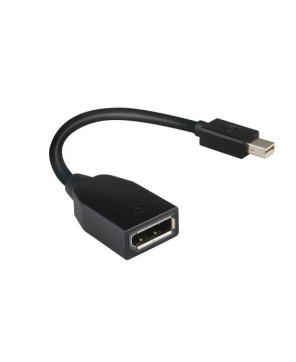 Buy Lenovo Mini-DisplayPort to DisplayPort Adapter 4X90L13971