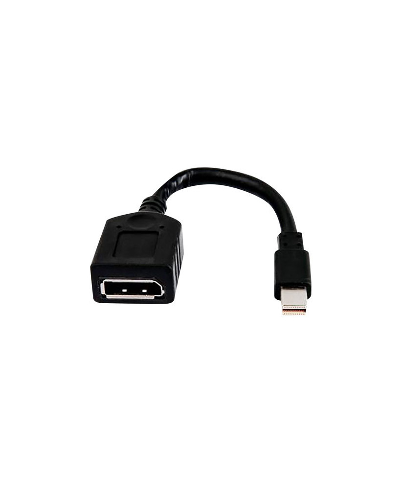 Buy HP Single Mini-Displayport to Displayport Adapter Cable 2MY05AA