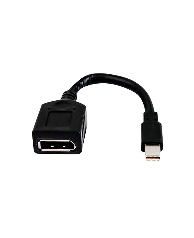 Buy HP Single Mini-Displayport to Displayport Adapter Cable 2MY05AA