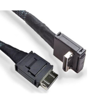 Buy Intel 47cm OCuLink SAS Internal Cable Kit AXXCBL470CVCR