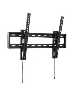 Buy Atdec Telehook Low-Profile Wall Mount TH-3065-LPT for Single LCD/LED/Plasma TV up to 65-Inch