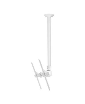 Buy Atdec Telehook 1000-1900MM Tilt Long Ceiling Mount in White TH-3070-CTLW for Medium to Heavy Weight TV