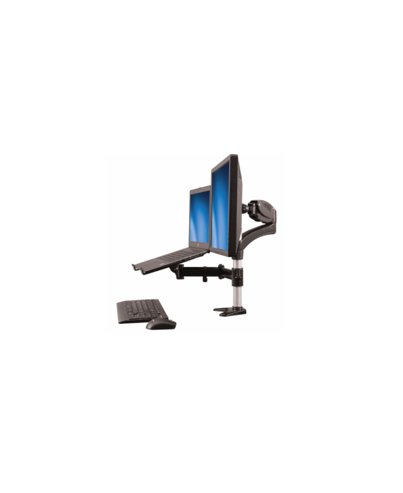 Buy Startech Full Motion Articulating Laptop Monitor Stand ARMUNONB