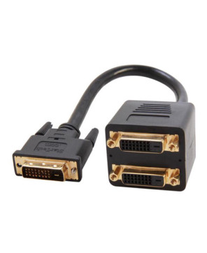 Buy StarTech 1 ft DVI-D to 2x DVI-D Digital Video Splitter Cable DVISPL1DD