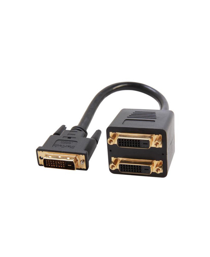 Buy StarTech 1 ft DVI-D to 2x DVI-D Digital Video Splitter Cable DVISPL1DD