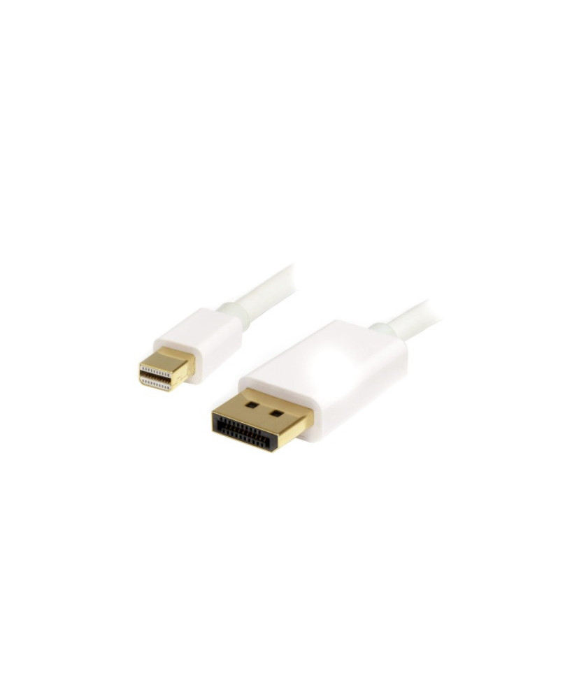 Buy Startech 2M Mini DisplayPort to DisplayPort 1.2 Adapter Cable MDP2DPMM2MW for TV, Monitor