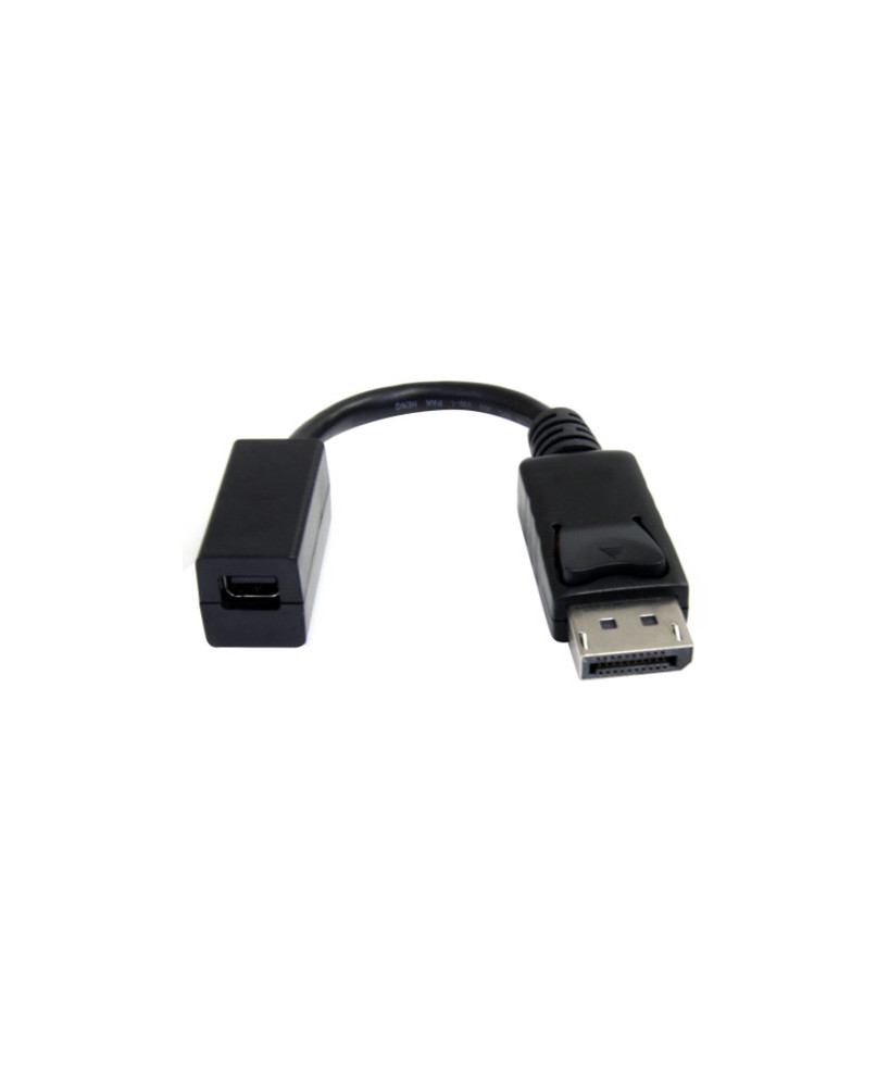 Buy StarTech 6-Inch DisplayPort to Mini DisplayPort Video Cable Adapter DP2MDPMF6IN