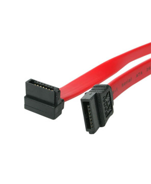 Buy Startech 45cm 6Gbps 7-Pin Connector SATA Cable in Red SATA18