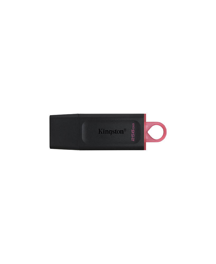 Buy Kingston DataTraveler Exodia 256GB USB 3.2 Gen 1 Flash Drive DTX/256GB