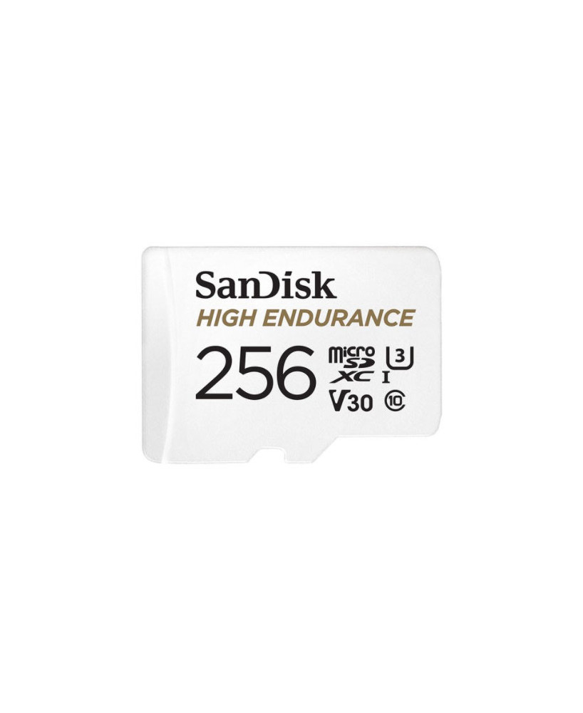 Buy SanDisk High Endurance 256GB microSD Card SDSQQNR-256G-GN6IA