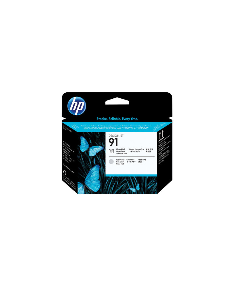 Buy HP 91 Photo Black and Light Grey Printhead C9463A for DesignJet Z6100 & Z6100ps Printers