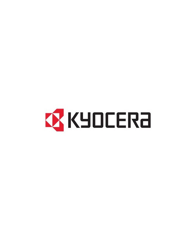 Buy Kyocera DIMM-1GBSP 1GB Memory Upgrade 822LM01399 For Kyocera Printers