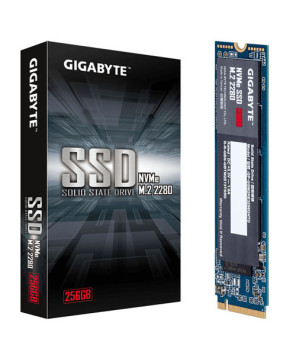 Buy Gigabyte NVMe 256GB M.2 Solid State Drive GP-GSM2NE3256GNTD