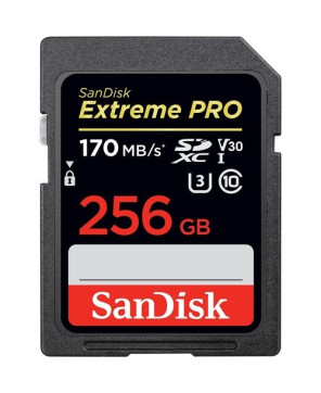 Buy SanDisk Extreme PRO 256 GB SDHC and SDXC UHS-I Card SDSDXXY-256G-GN4IN