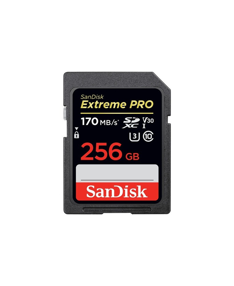 Buy SanDisk Extreme PRO 256 GB SDHC and SDXC UHS-I Card SDSDXXY-256G-GN4IN