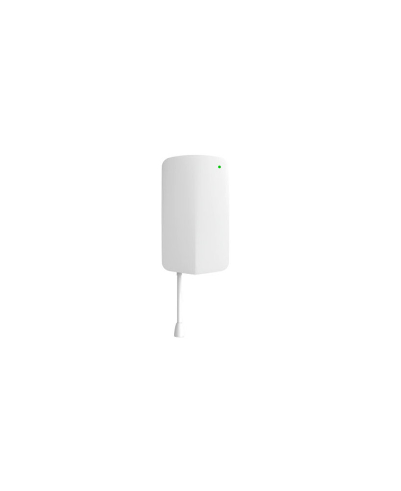 Buy Cisco Meraki MT12 Water Leak Sensor MT12-HW for Access points, Surveillance Camera