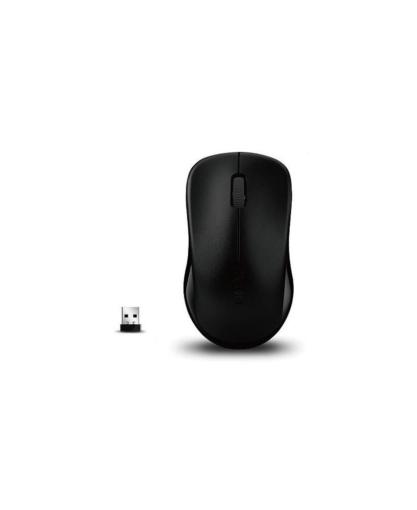 Buy Rapoo 1620 2.4G Wireless Entry Level Mouse in Black MIRP-1620-BK