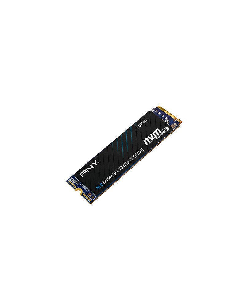 Buy PNY CS1031 256GB M.2 2280 NVMe Gen3x4 SSD