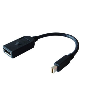 Buy 8Ware GC-MDPDP Mini Display Port DP to Display Port Adapter Cable