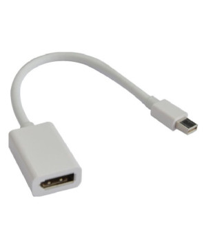 Buy Astrotek AT-MINIDPP-MF Mini DisplayPort to DisplayPort Adapter Converter