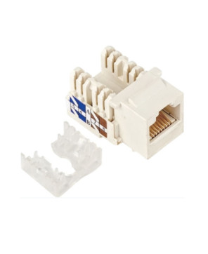 Buy Astrotek 10pcs CAT5e UTP Network Keystone Jack in White ATP-KJ-5E for Socket Kit