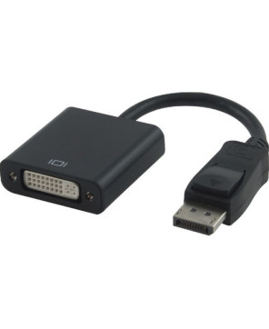 Buy Astrotek 15cm DisplayPort DP to DVI Adapter Converter Cable AT-DPDVI-MF-ATI