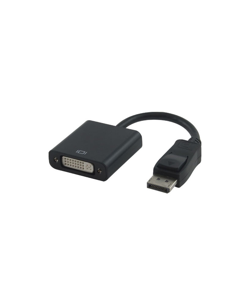 Buy Astrotek 15cm DisplayPort DP to DVI Adapter Converter Cable AT-DPDVI-MF-ATI