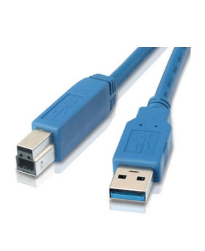 Buy Astrotek 1M USB 3.0 Type-A to Type-B Cable AT-USB3-AB-1M in Blue for External HDD, Printer