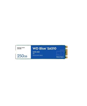 Western Digital Blue SA510 250GB SATA M.2 SSD WDS250G3B0B for Desktop PC