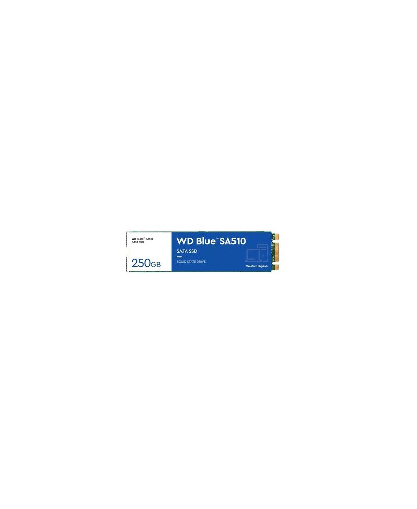 Western Digital Blue SA510 250GB SATA M.2 SSD WDS250G3B0B for Desktop PC