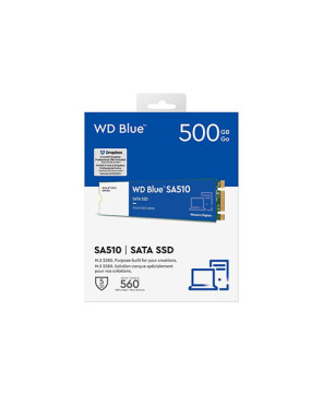 Western Digital Blue SA510 500GB SATA M.2 SSD WDS500G3B0B for Desktop PC