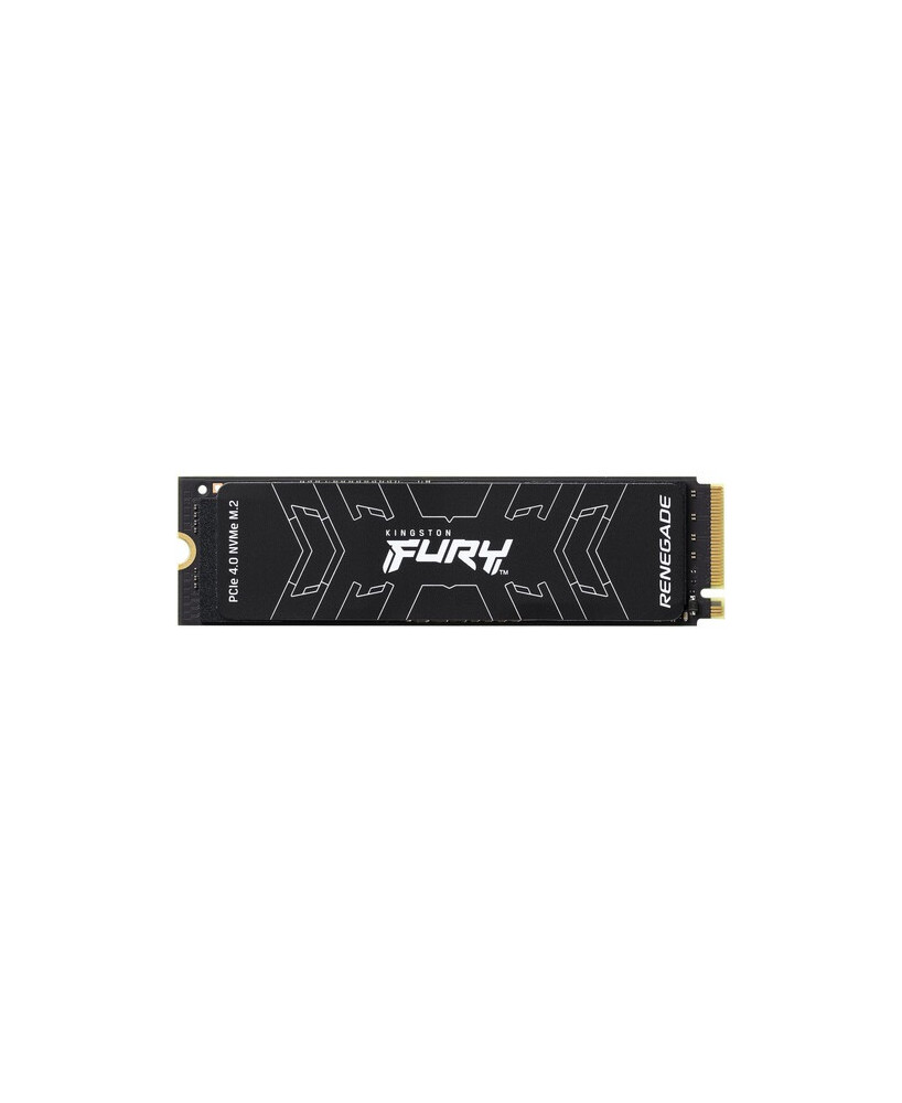 Kingston Fury Renegade 500GB M.2 2280 Internal Solid State Drive SFYRS/500G