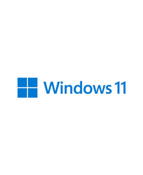 Microsoft Windows 11 Pro 64-bit Operating System 1 License in Flash Drive HAV-00163