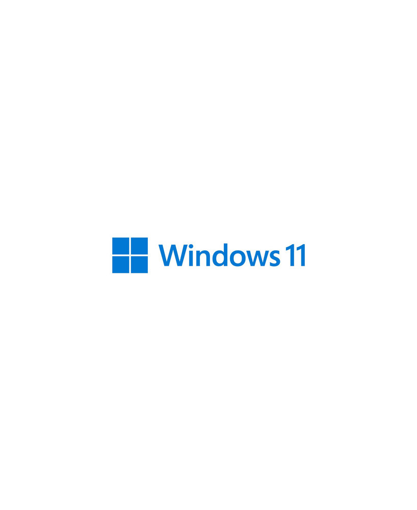 Microsoft Windows 11 Pro 64-bit Operating System 1 License in Flash Drive HAV-00163