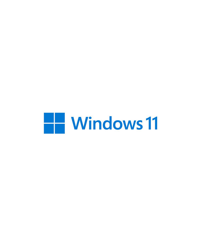 Microsoft Windows 11 Pro 64-bit Operating System 1 License in Flash Drive HAV-00163