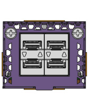 Extreme Networks Interface Module 5520-VIM-4YE for Extreme Networks 5520 Series Servers