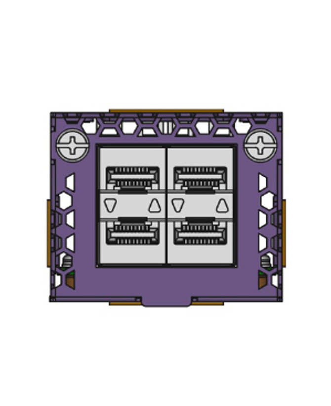 Extreme Networks Interface Module 5520-VIM-4YE for Extreme Networks 5520 Series Servers