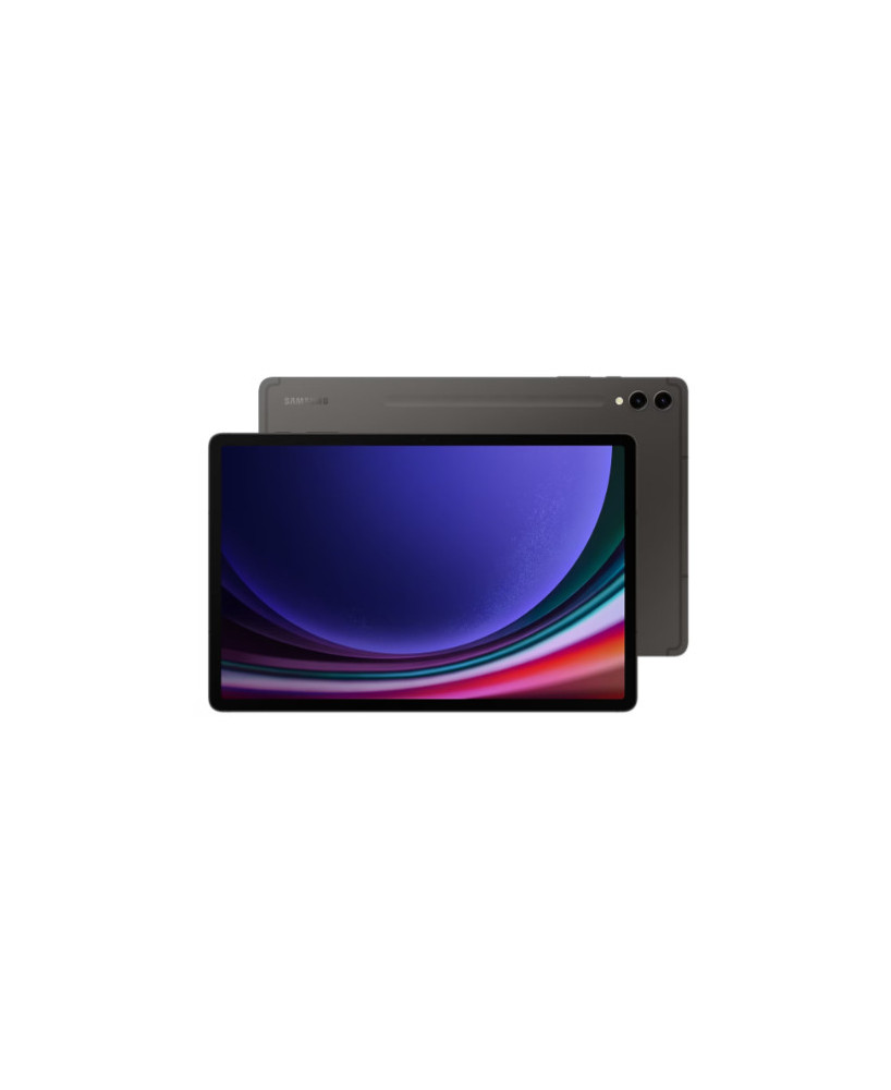 Samsung Galaxy Tab S9+ Wi-Fi 12.4" Octa-core 12GB 256GB Rugged Tablet in Graphite SM-X810NZAAXSA