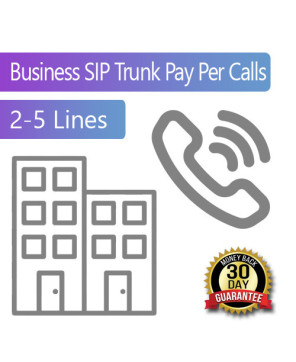 Business SIP Trunks Pay Per Calls 2-5 Lines