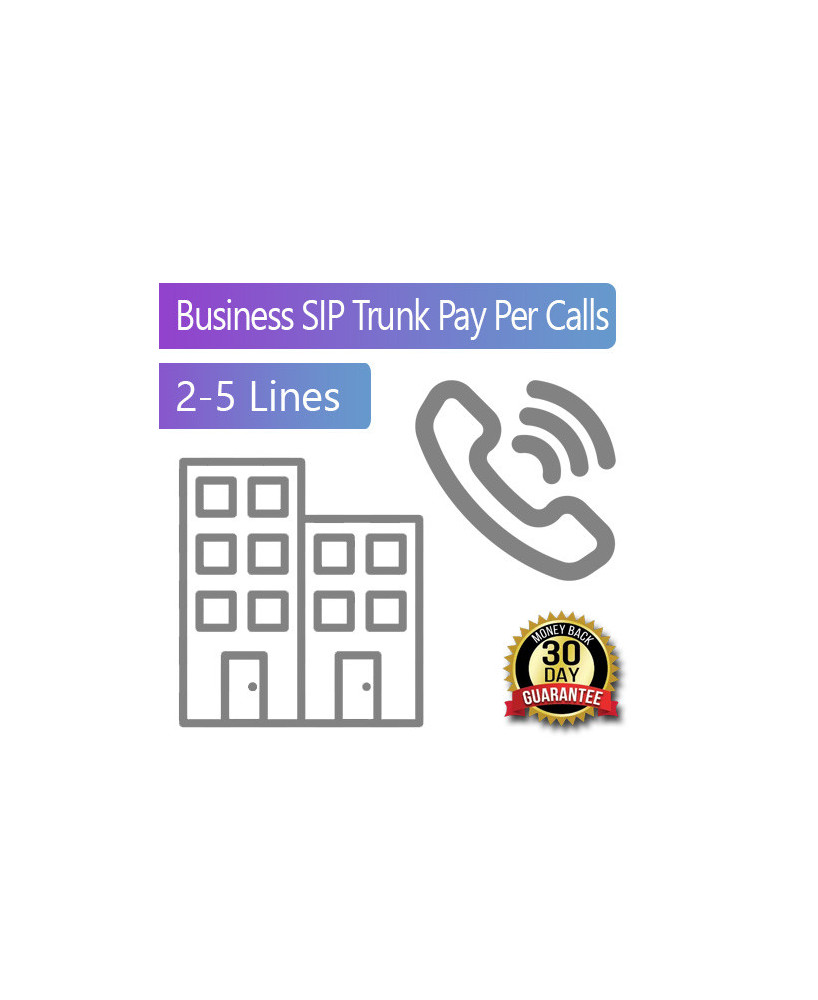 Business SIP Trunks Pay Per Calls 2-5 Lines