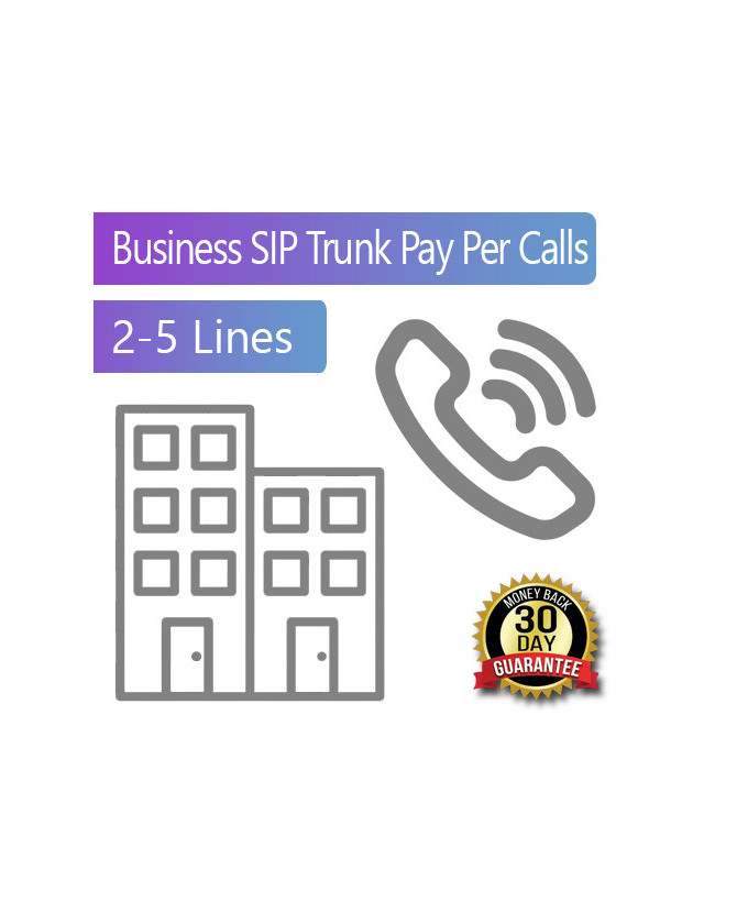 Business SIP Trunks Pay Per Calls 2-5 Lines