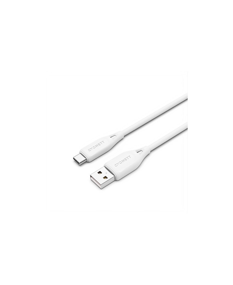 Buy Cygnett Armoured 1m USB-C to USB-A Charge and Sync Cable CY2681PCUSA