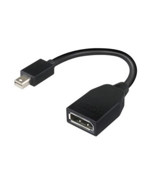 Buy Lenovo Mini-DisplayPort to DisplayPort Adapter 4X90L13971