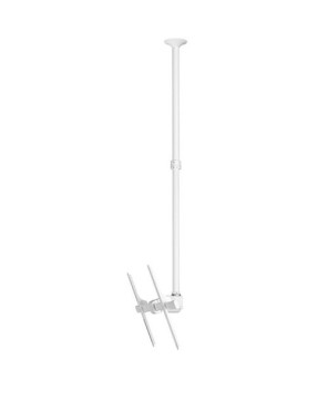 Buy Atdec Telehook 1000-1900MM Tilt Long Ceiling Mount in White TH-3070-CTLW for Medium to Heavy Weight TV