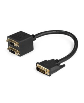 Buy StarTech 1 ft DVI-D to 2x DVI-D Digital Video Splitter Cable DVISPL1DD