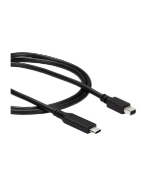 Buy StarTech 1m USB-C to Mini DisplayPort Cable 4K 60Hz CDP2MDPMM1MB in Black