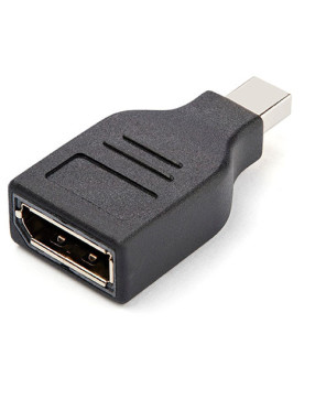 Buy StarTech Mini DisplayPort to DisplayPort Adapter Converter GCMDP2DPMF - Male to Female