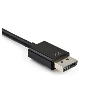 Buy StarTech DisplayPort to HDMI VGA Adapter DP2VGAHD20