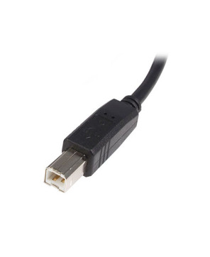 Buy StarTech 5m USB 2.0 A to B Cable USB2HAB5M - Male to Male